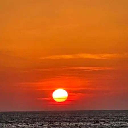 Coast 136 * Palasë